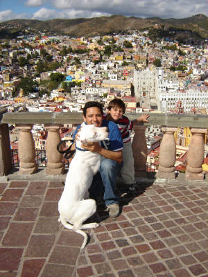 Dogo in Mexico.jpg